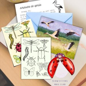 Slow Letters - Scrisoare unica